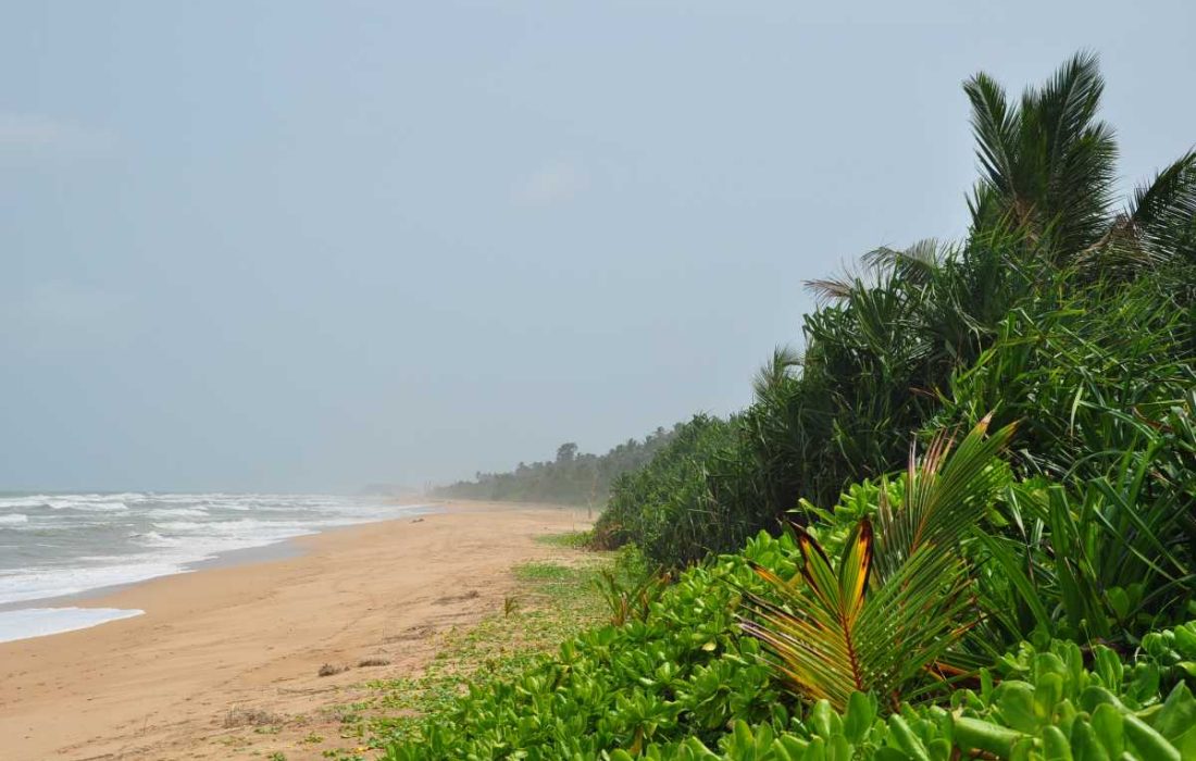 SriLankaBeruwala beach SriLankaBeruwala beach